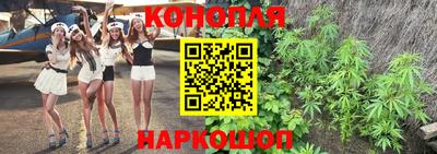 сатива Рязань