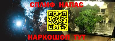 индика Рыбинск