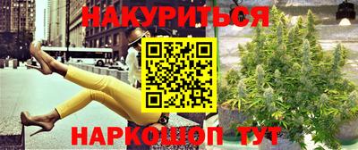индика Рыбинск