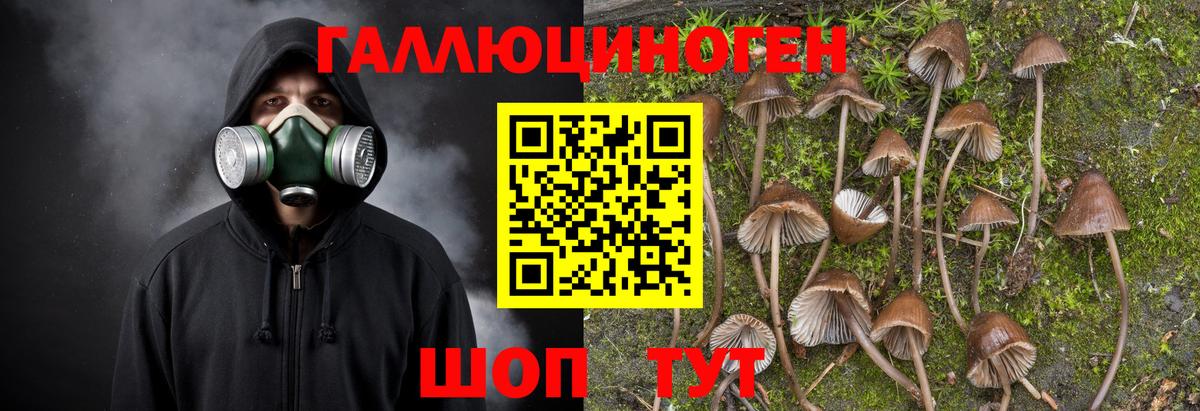 Галлюциногенные грибы мицелий Строитель