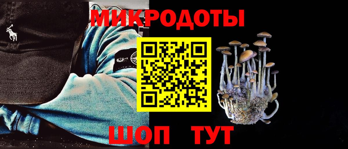 Строитель  Псилоцибиновые грибы GOLDEN TEACHER  Вход с VPN 